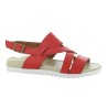 JOSEPH 36 41